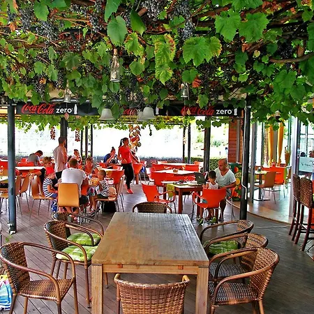 Favorit サニービーチ